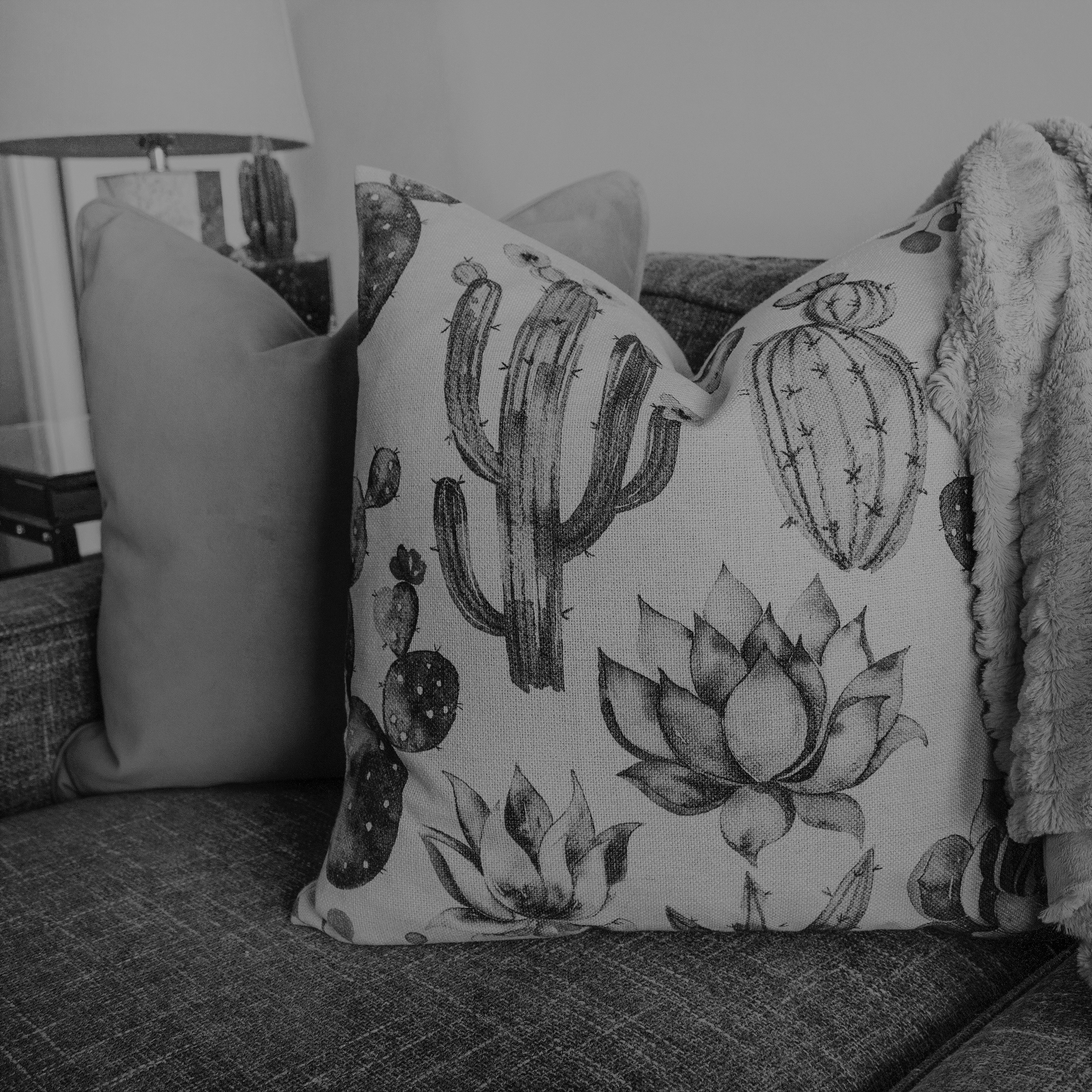 Cushion & Throw