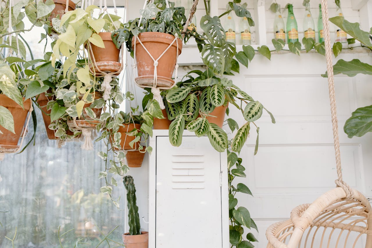 Macrame
