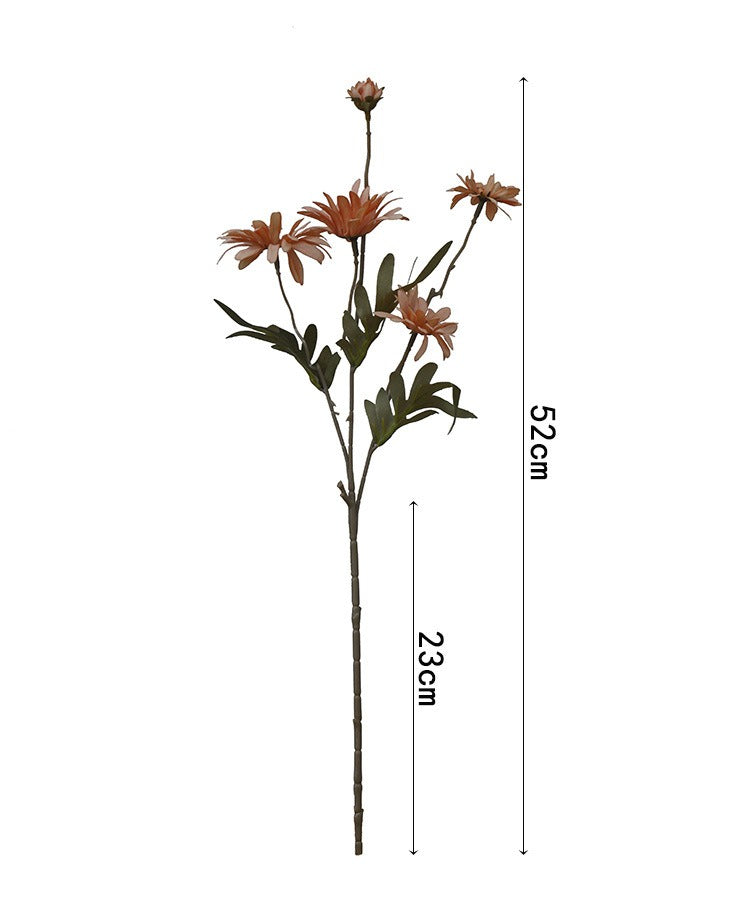 Summer Day Dream Daisy Bouquet