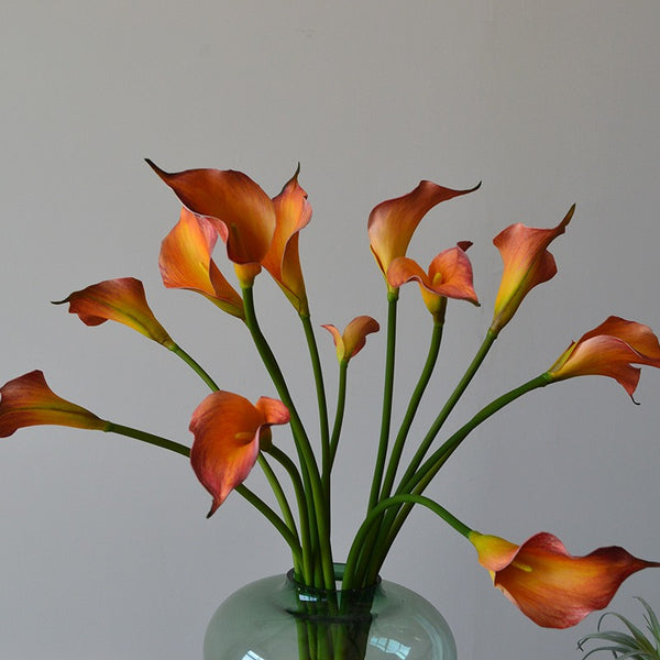 Colourful Calla Lily Bouquet