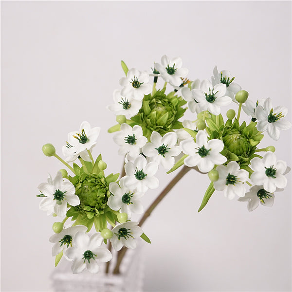 Star of Bethlehem Flower Decor
