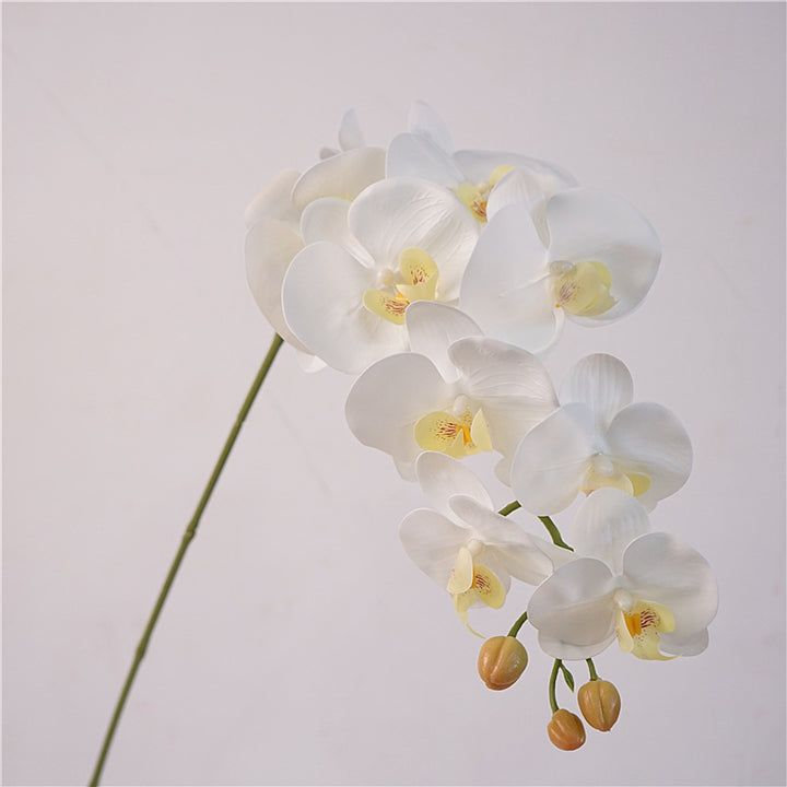 Orchid Bloom Flower Decor