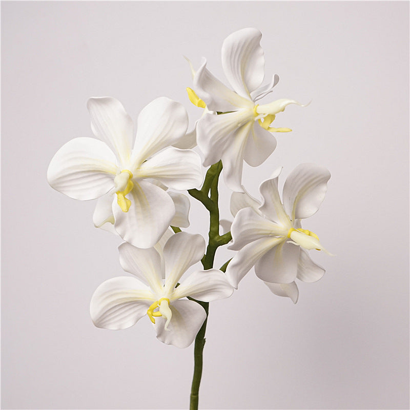 Phalaenopsis Orchids Flower Decor
