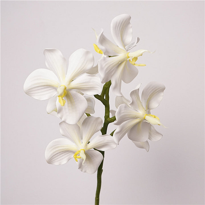 Phalaenopsis Orchids Flower Decor