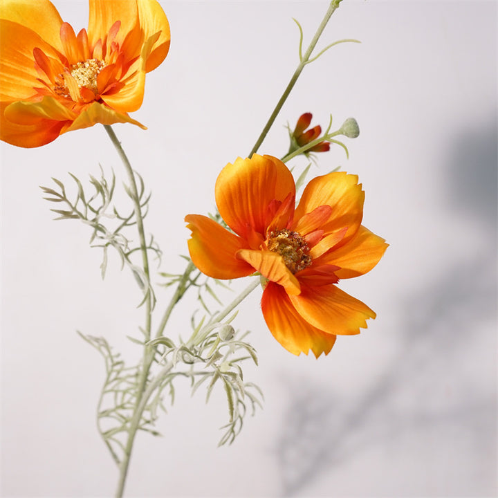 Royal Cosmos Flower Decor