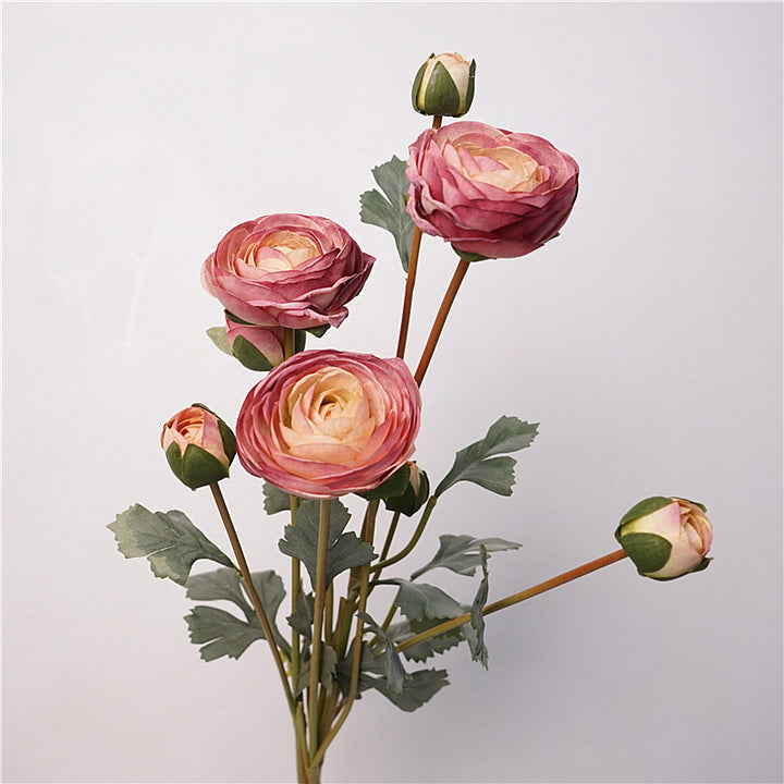 Ranunculus Flower Decor