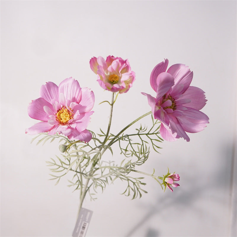 Royal Cosmos Flower Decor