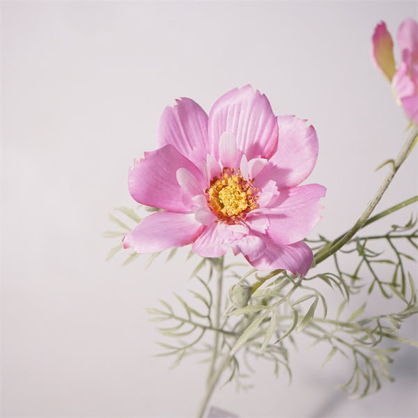 Royal Cosmos Flower Decor