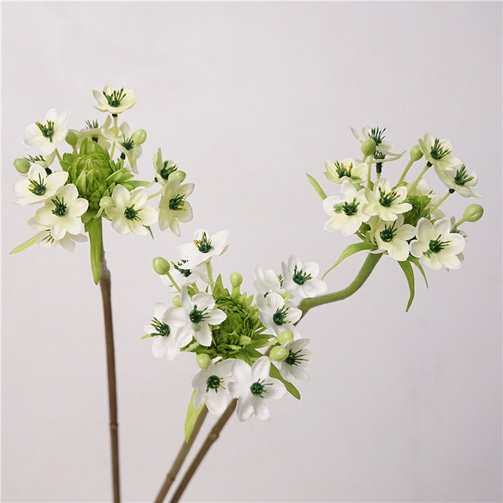Star of Bethlehem Flower Decor