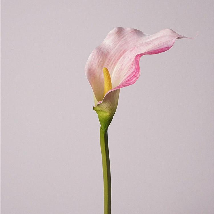 Calla Lily Flower Decor
