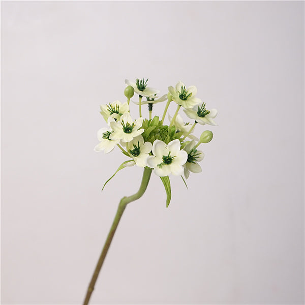 Star of Bethlehem Flower Decor