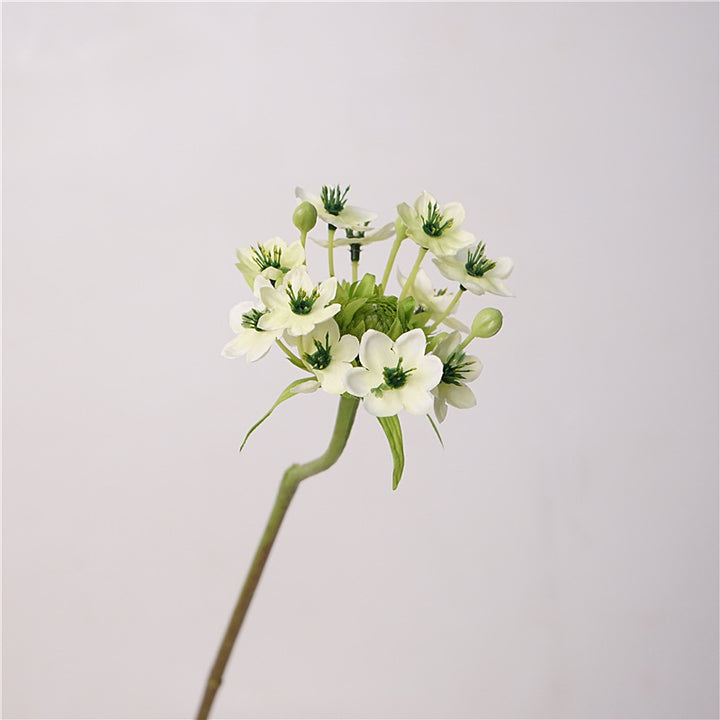 Star of Bethlehem Flower Decor