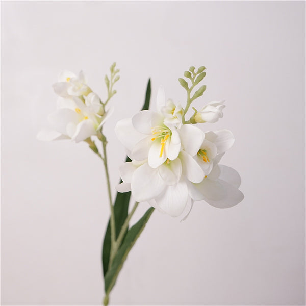 Radiant Freesia Flower Decor