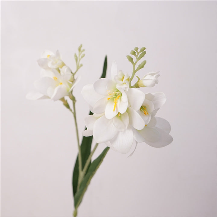 Radiant Freesia Flower Decor