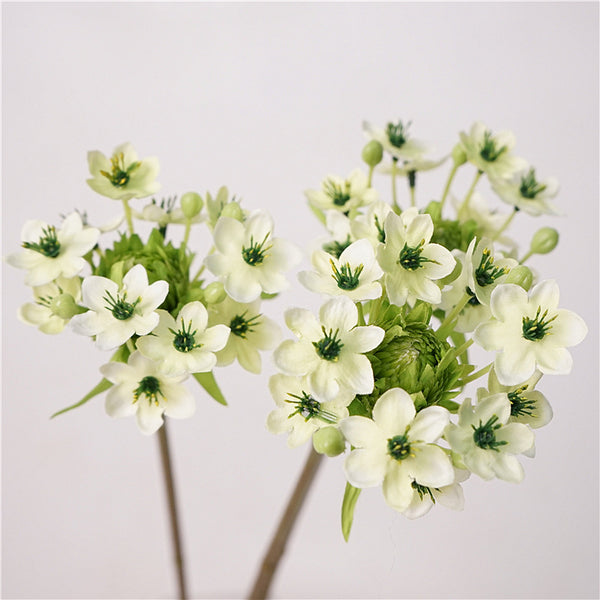 Star of Bethlehem Flower Decor