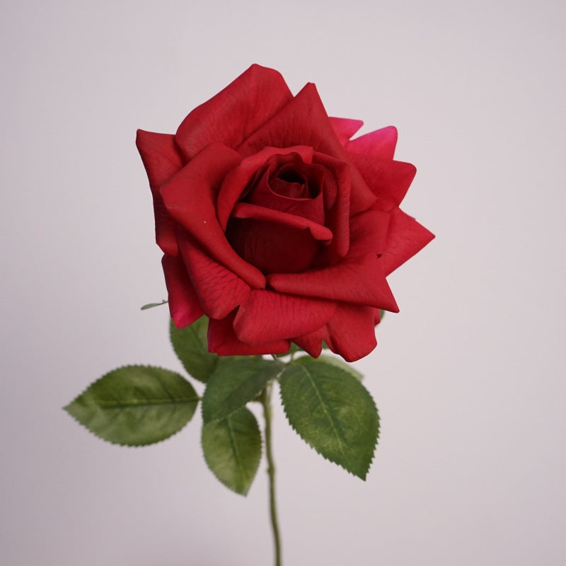 Elegant Rose Flower Decor