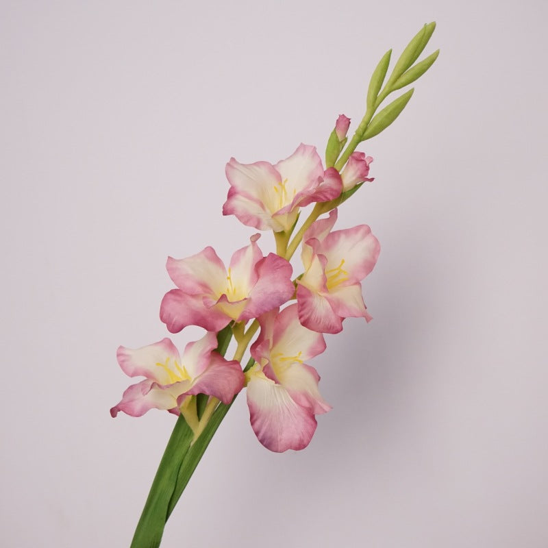 Pure Gladiolus Flower Decor