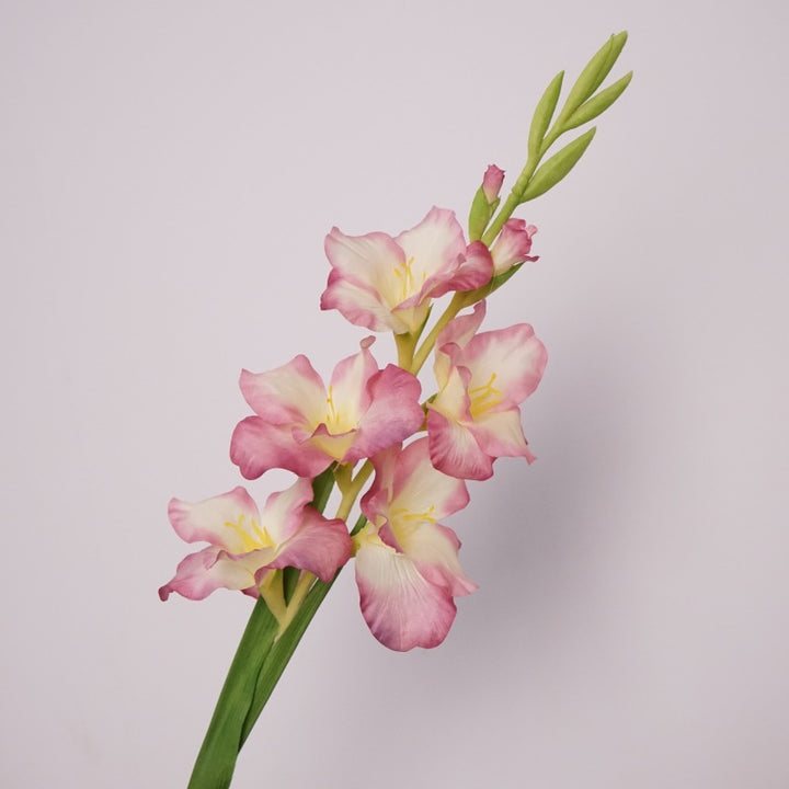 Pure Gladiolus Flower Decor
