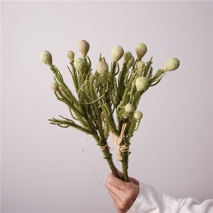 PolyPite Fern Foliage