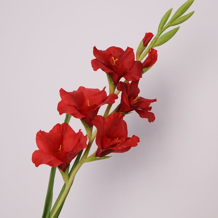 Pure Gladiolus Flower Decor
