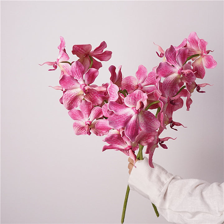 Phalaenopsis Orchids Flower Decor