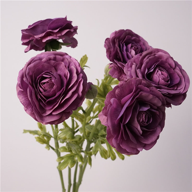 Persian Buttercups Flower Decor