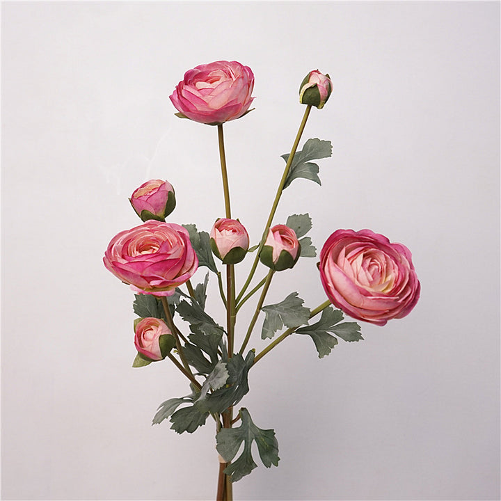 Ranunculus Flower Decor