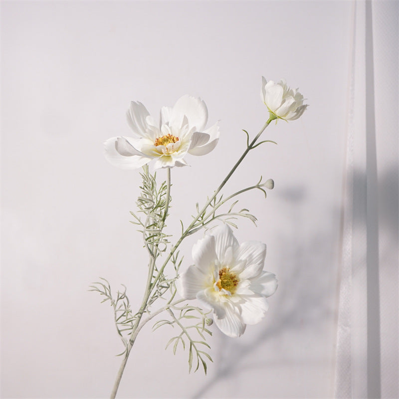 Royal Cosmos Flower Decor