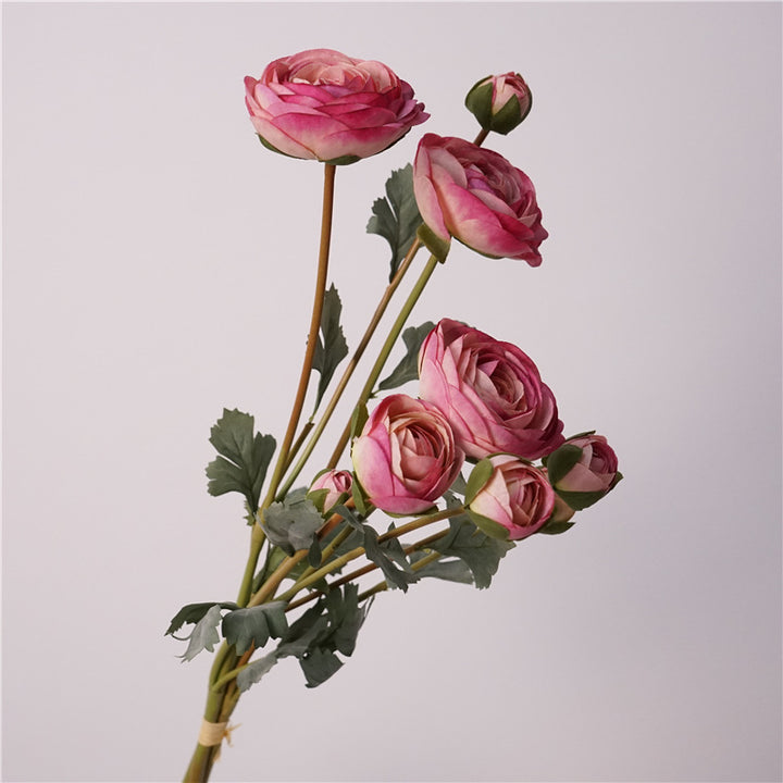 Ranunculus Flower Decor