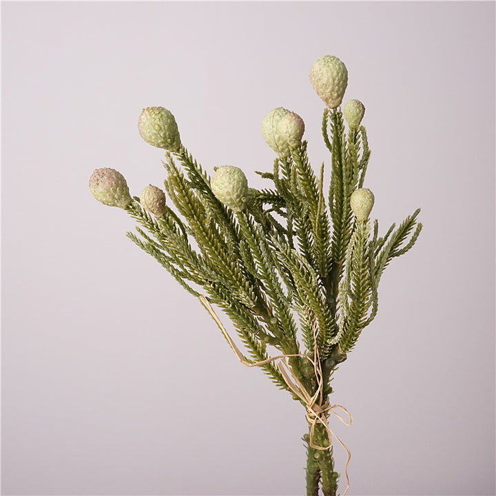 PolyPite Fern Foliage