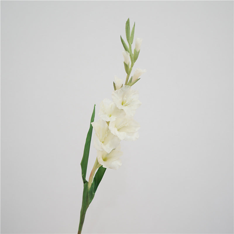 Gladiolus Flower Decor