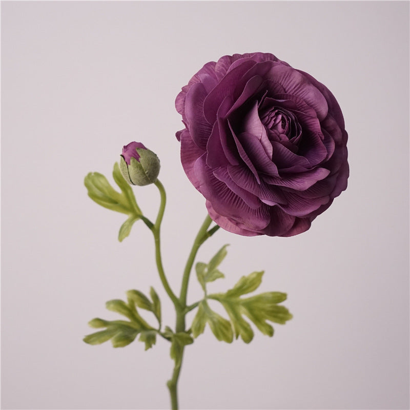 Persian Buttercups Flower Decor