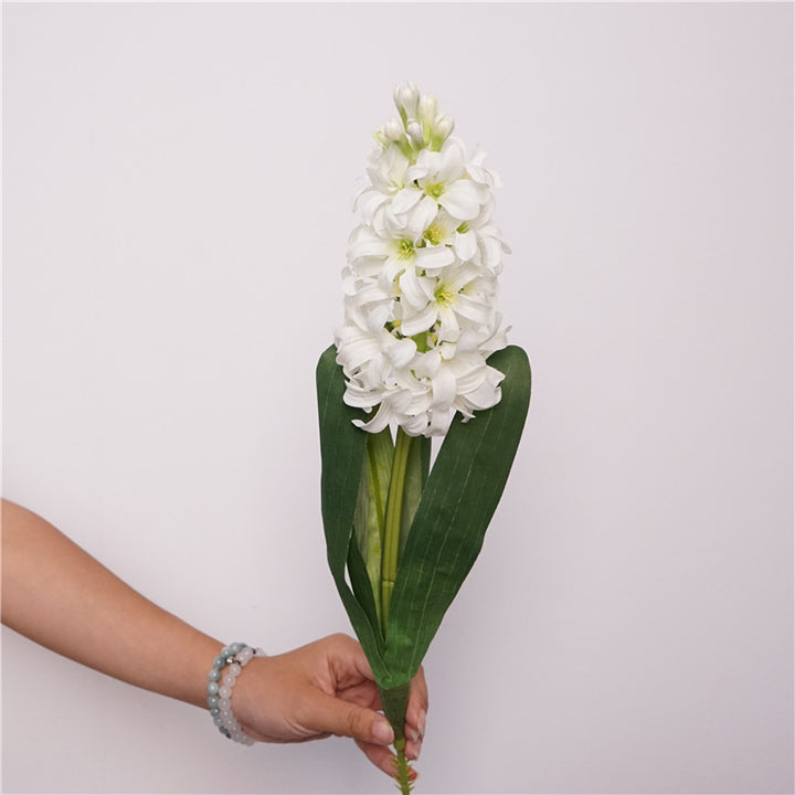 Oriental Hyacinth Flower Decor