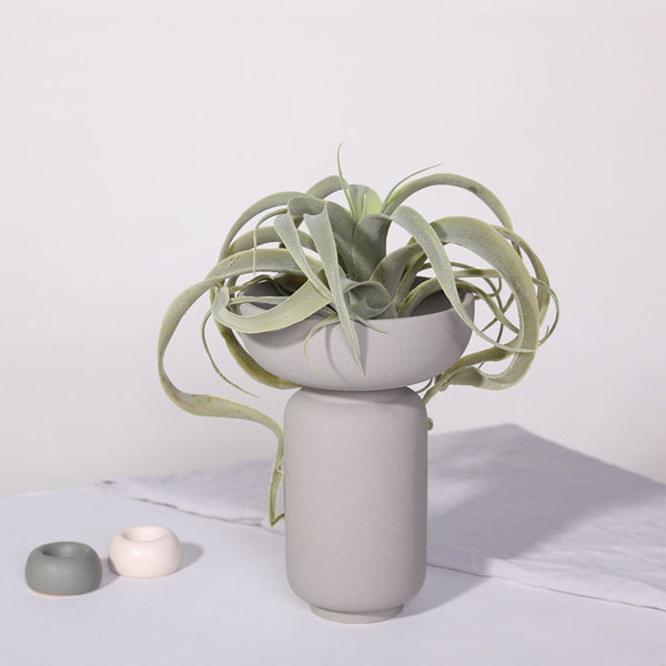 Roly-Poly Elegance Vase