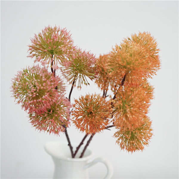 Scadoxus Genus Flower Decor