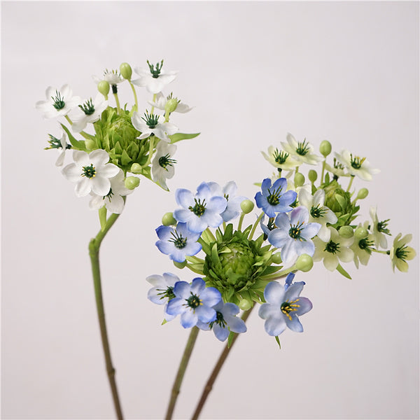 Star of Bethlehem Flower Decor