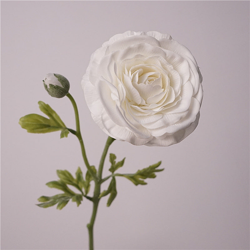 Persian Buttercups Flower Decor