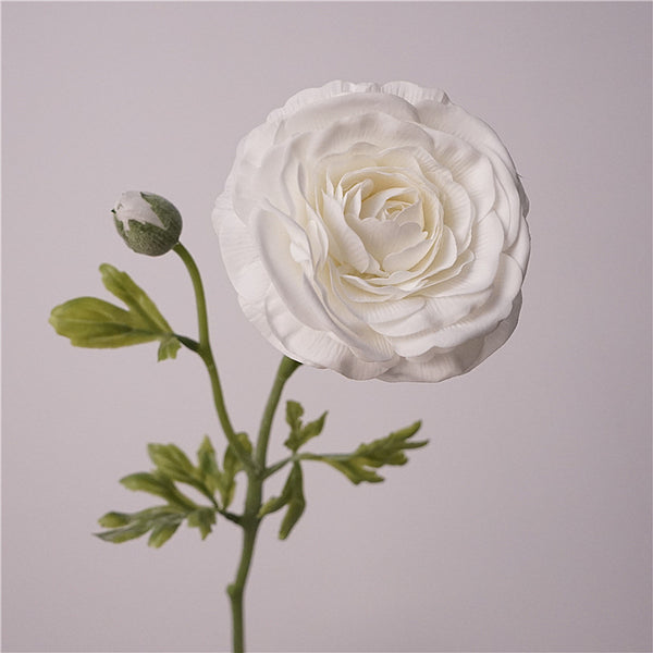 Persian Buttercups Flower Decor