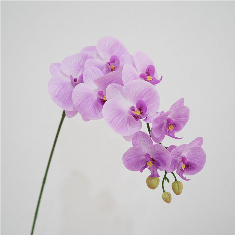 Orchid Bloom Flower Decor