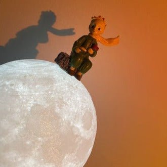 The Little Prince Lamp - Lamps - Delicors