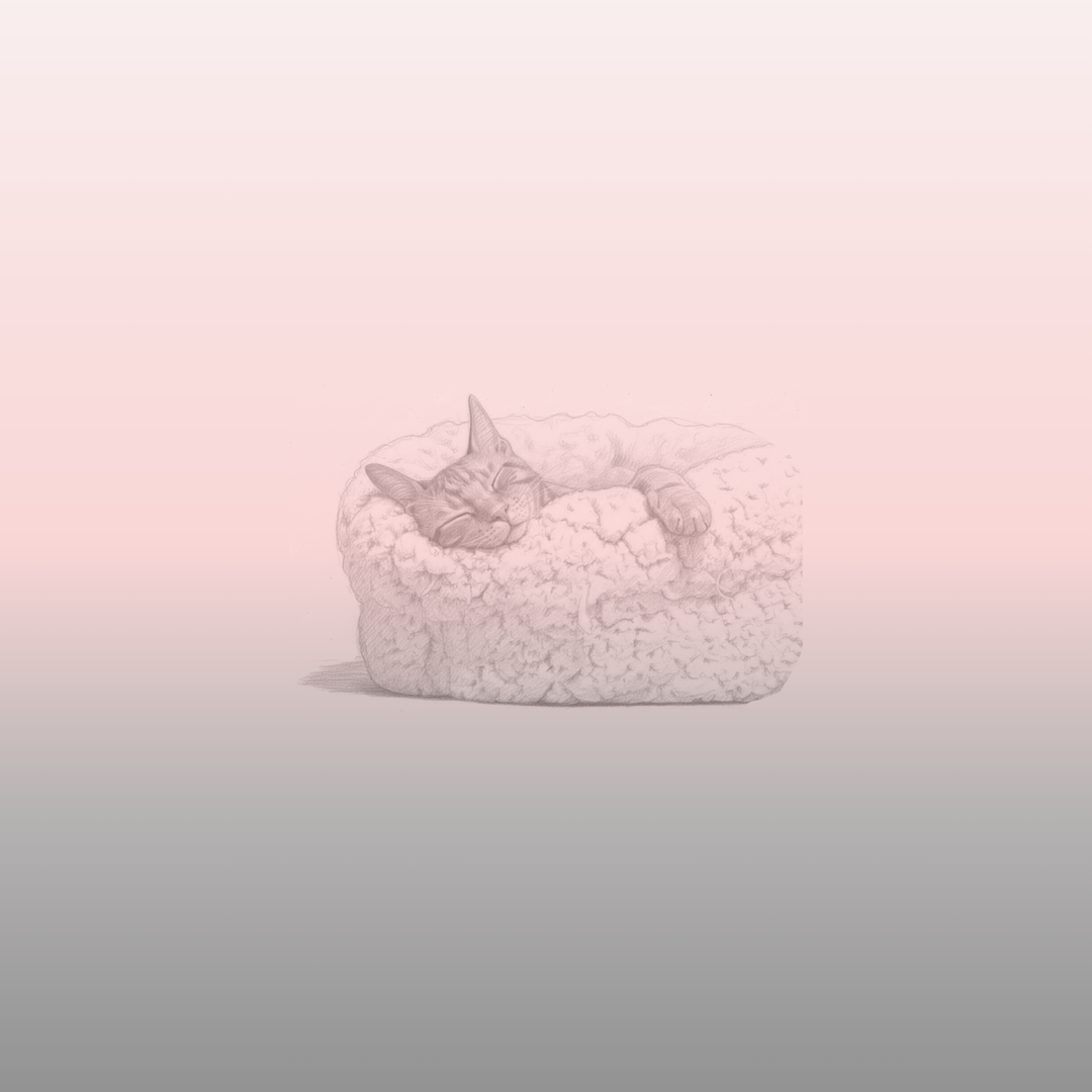 Delicors Winter Nest Bedding Collection