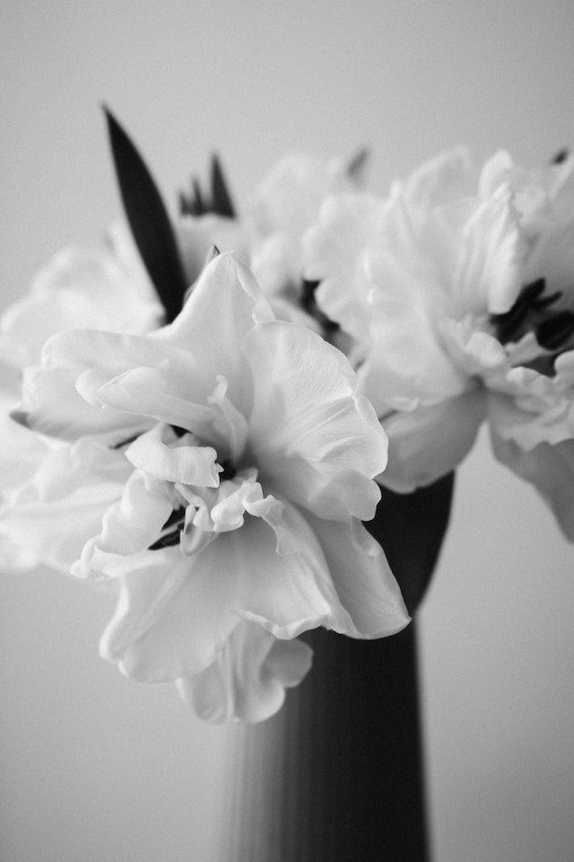Floral - Delicors