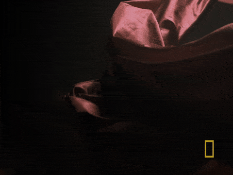 Lyocell Silk | Delicors