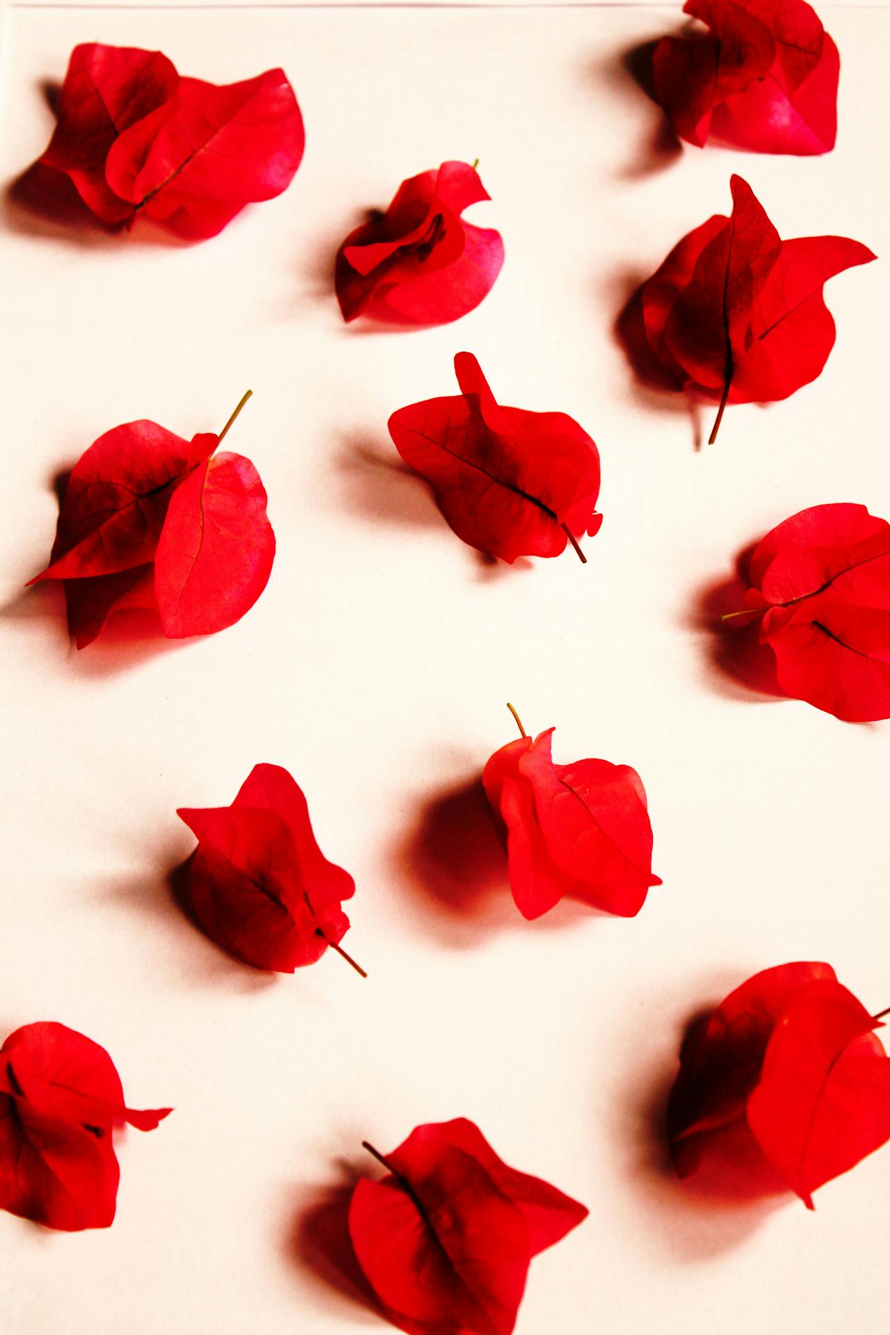 Red - Delicors