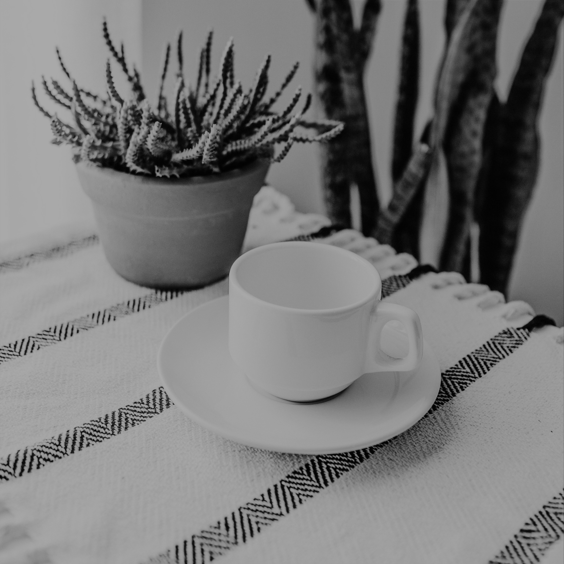 Table Cloth & Runner