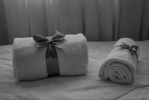 Towel