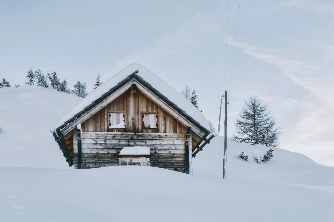 Winter Nest - Delicors