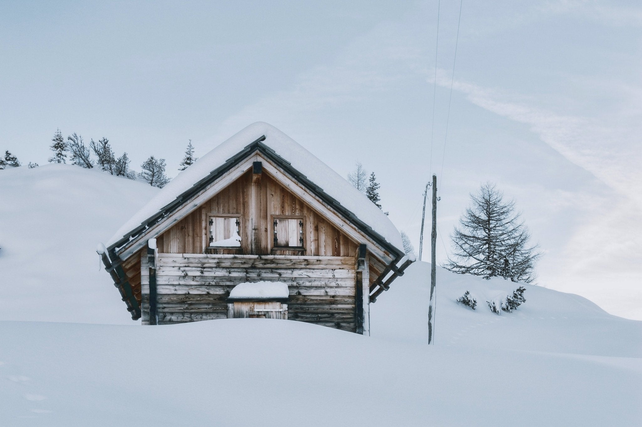 Winter Nest - Delicors