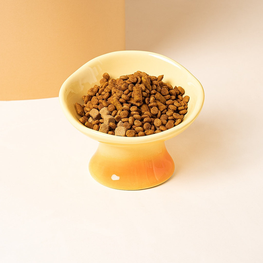 Petal Pet Bowl Set