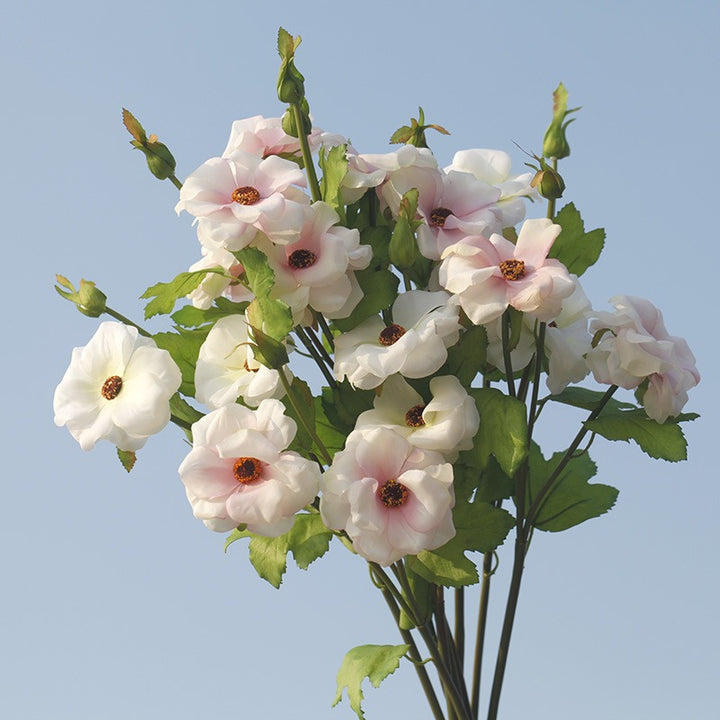 Spring Breeze Anemone Bouquet